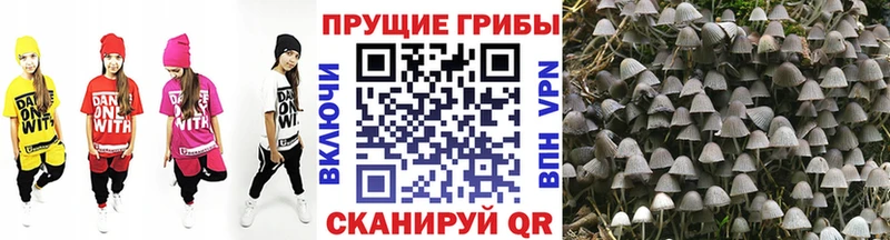 Галлюциногенные грибы мицелий  Купить где  Арск 